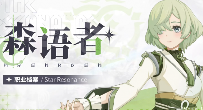 星痕共鸣推荐职业4