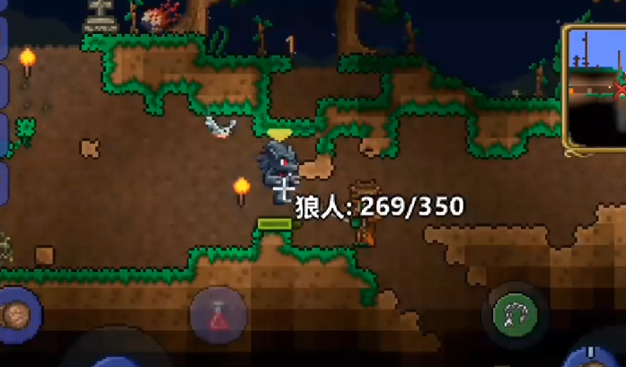 泰拉瑞亚有哪些宠物可以驯服2