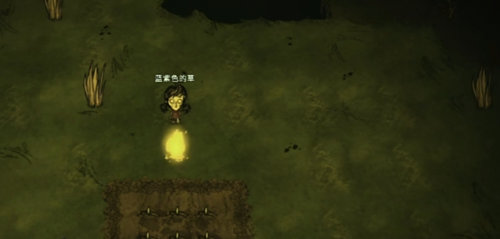 饥荒薇洛怎么玩1