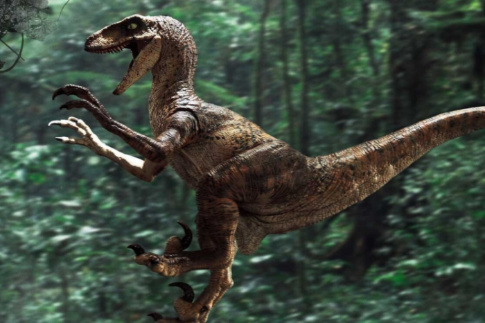 恐龙岛什么恐龙能跳1