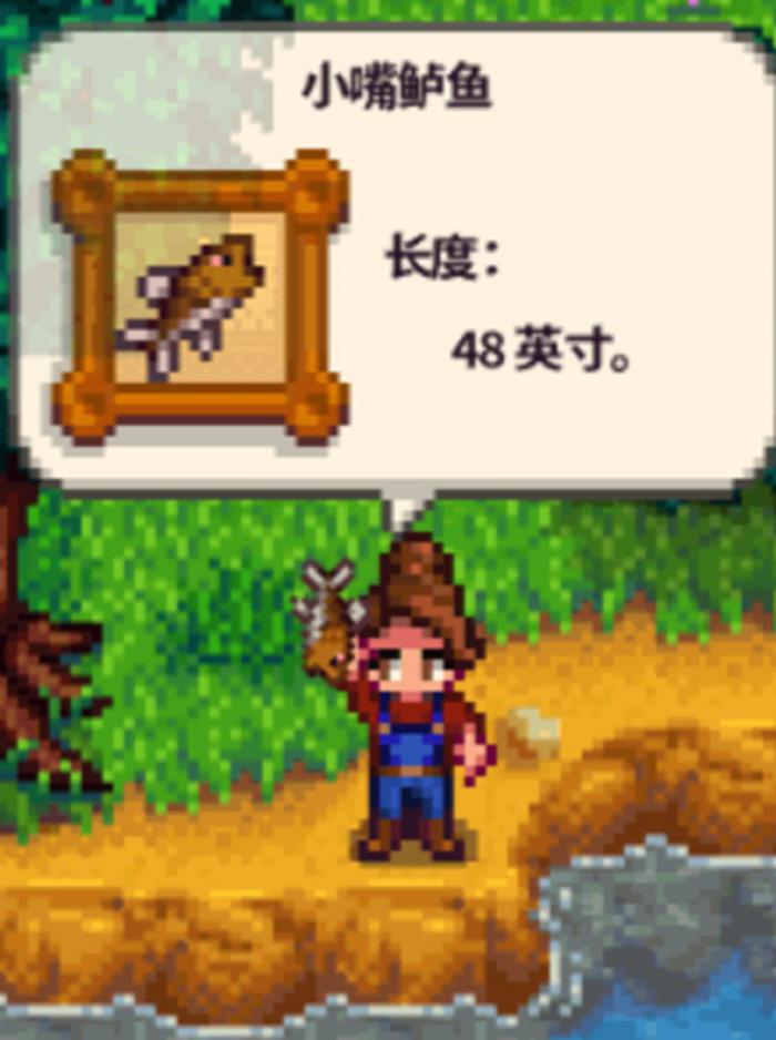 星露谷物语钓鱼有什么技巧1